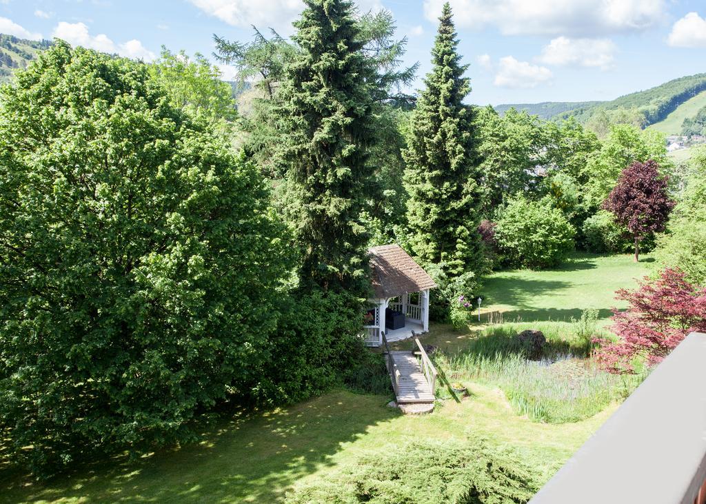 Landhaus Wiesemann Parkappartements & Dependance - Naehe Ettelsberg-Talstation Willingen  Eksteriør billede